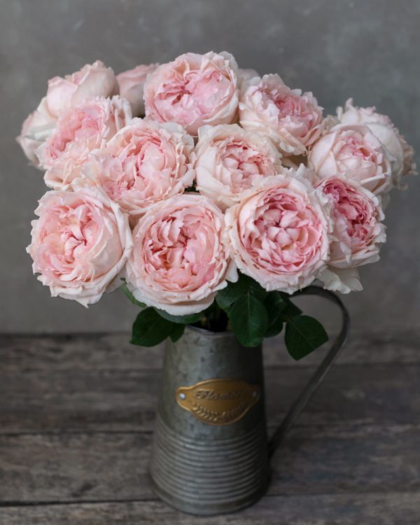 Bridal Tiara | Light Pink Garden Rose