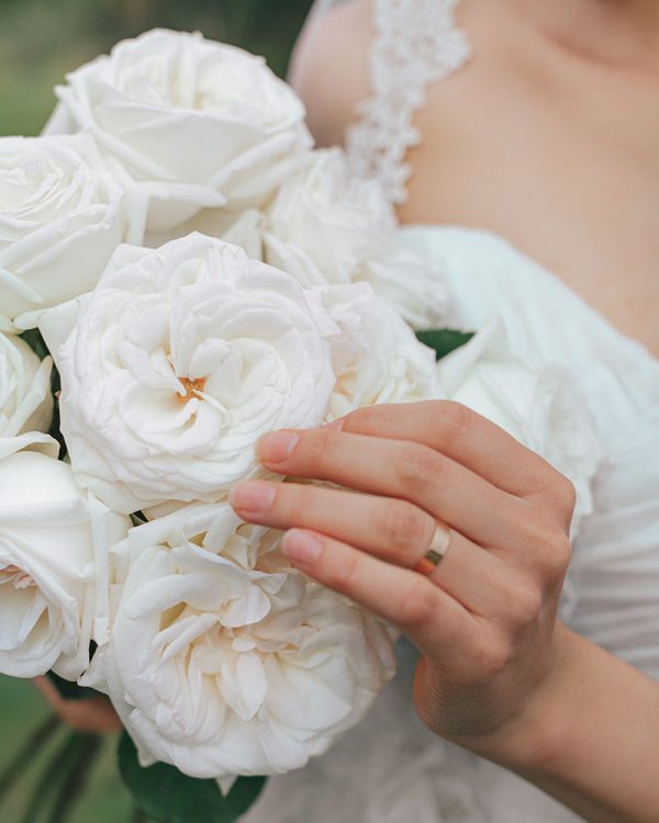 Jeanne Moreau | White Garden Rose