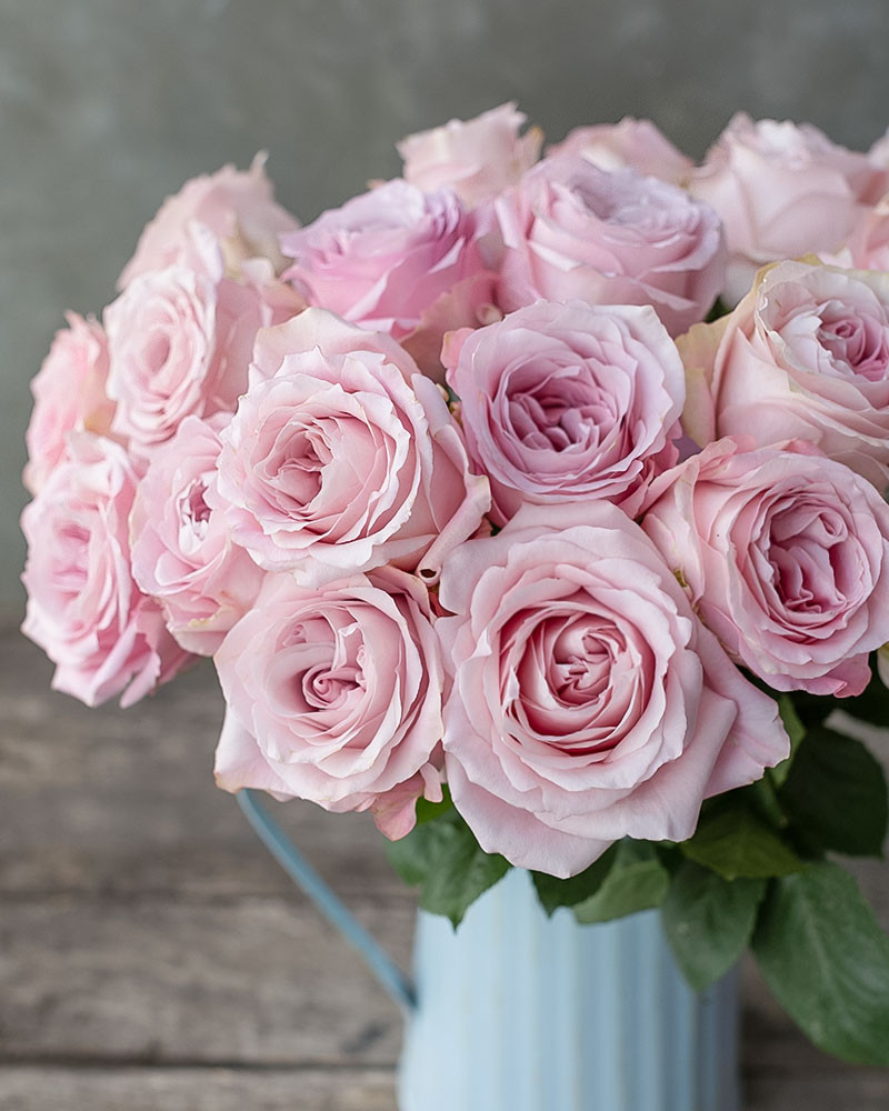 pink rose images with love