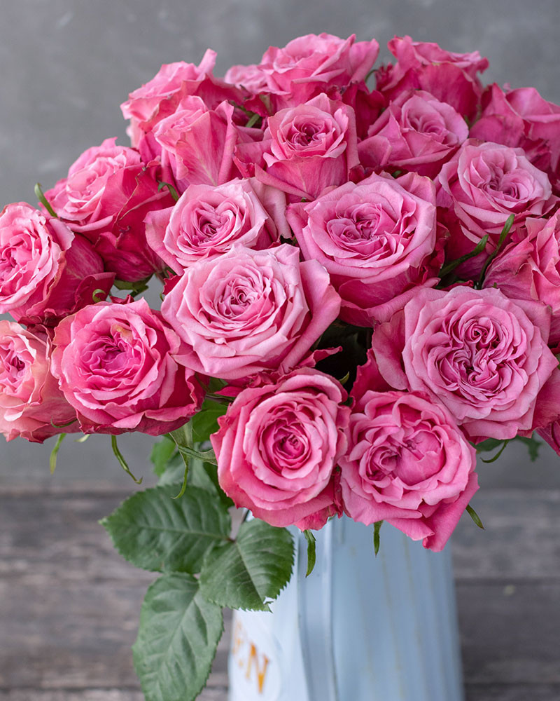 https://rosasdelcorazon.com/wp-content/uploads/2022/01/489-Art-Deco-Pink-Garden-Flower.jpg